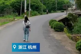 杭州临安杨梅大棚酷炫外形意外走红 等杨梅成熟一起去打卡吧图片