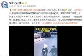 “突发奇想”？两男子玩弹弓打坏多个倒车镜图片