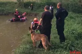 84岁老人从女婿处回家时走失，野外待了2天2夜最终获救图片
