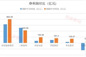 发电央企净利大比拼： 国家电投六年来首超华能，大唐掉出前五图片
