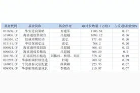 汤姆猫遭问询暴跌超11%！多只公募一季度扎堆，海富通吕超越合计新买入2300万股图片