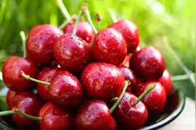 刚上市，吃5颗就中毒？图片