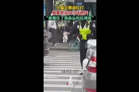 小猫企图闯红灯，被警察叔叔当场抓获“谁扼住了我命运的后颈皮”图片