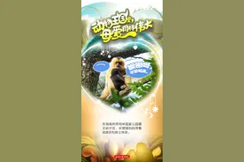 创意海报 | 奇妙！在动物王国里，母爱同样美好且治愈图片