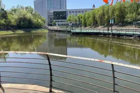 哈尔滨人又多了处亲近自然、休闲打卡地，16.5公里生态廊道将全线贯通，位置️↘图片