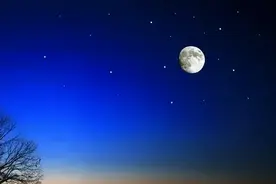 散文｜我心中的白月光图片