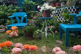 十堰男子用7年时间打造绝美屋顶花园，活成了大家羡慕的样子图片