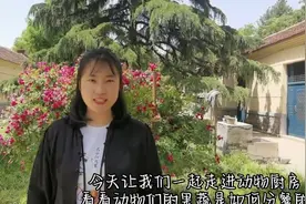 果然视频丨动物视界——主打一个新鲜！动物们爱吃的果蔬这样分餐图片