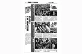 同样是辛辣的味道 芥末、山葵和辣根怎么区分图片