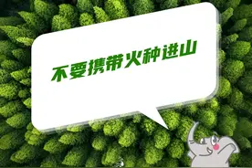 关注 | 交易额超过6亿元！数字人民币云南试点工作初显成效图片