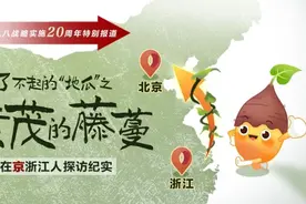 繁茂的藤蔓⑯：南花北移，璀璨京都！北京“越研会”了不起的36年图片