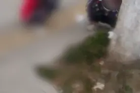 一根烤肠，差点要了小姑娘的命！街头这幕刷屏图片