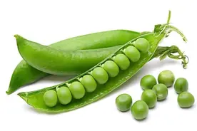 豌豆最佳食用季节！今天你吃“小寒”了吗？图片