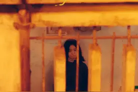 《漫长的季节》女性角色塑造得成功吗？图片