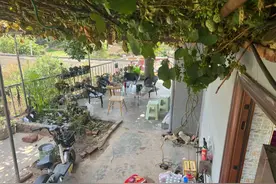 3.8万元买云南小院登上热搜，当事人：5万买两套，十几万装修图片