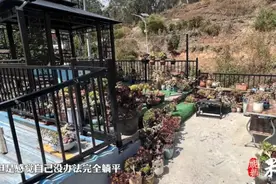 果然视频丨3万8买云南小院当事人：5万买了两套，花十几万装修图片