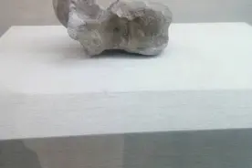 行走吉林丨原来你是这样的恐龙！图片