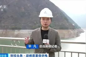 多地在行动！迎峰度夏电力保供！图片