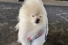 大风大雨来袭！出行途中这些事项务必注意图片