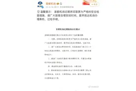 建议提前2-3小时！多座机场宣布安检将更严格！附乘机指南→图片