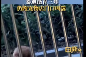 绝育3年多的泰迪仍天天跑到给它动手术的宠物店门口叫骂，网友：狗子是懂记仇的图片