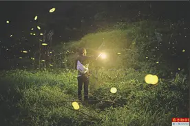 星光点点 夏夜闪闪图片