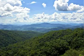 有一种叫云南的生活｜沉入自然绿意，夏日到云南避暑“吸氧”图片