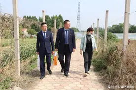 泰山农商银行：牢记支农使命，助力乡村振兴图片