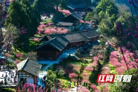 乡贤文化赋能乡村振兴丨陈健：返乡建“花海” 让乡村游火“出圈”图片