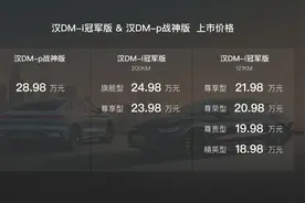 新增200km纯电续航版本 比亚迪汉DM系列新款车型上市图片