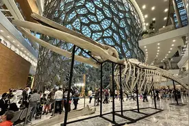 趣玩中感受科学，上海自然博物馆之夜“上映”图片