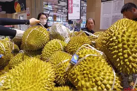榴莲价格腰斩？国产榴莲即将上市！10元3斤“榴莲自由”能实现吗图片