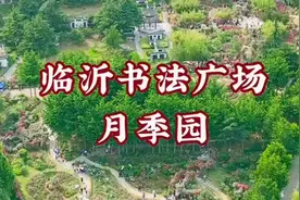 果然视频|畅游临沂书法广场月季花海，让生活多一些可爱图片