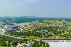 广东高州：“荔”开新局，五大销售难题有了新解图片