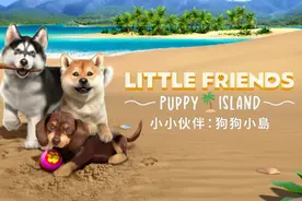 模拟宠物养成游戏《小小伙伴：狗狗小岛》NS亚洲版现已正式发售！图片