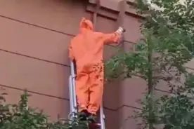 果然视频|大量马蜂在居民楼外墙孔洞内筑巢，消防迅速到场清除图片