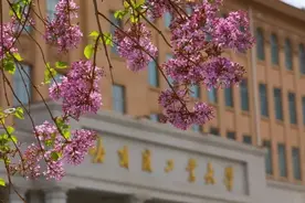 “520”为学生结婚开绿色通道，这所大学很有爱 | 新京报快评图片