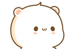 淳安县2023年义务教育阶段学校招生入学工作安排图片