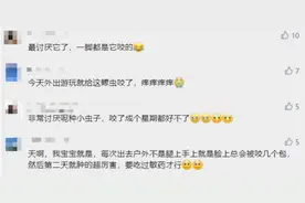 五月外出，当心它们！最近很容易中招，可以这么做图片