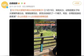 女子在动物园和大猩猩热情互动，猩猩鼓掌回应，还给她投喂橘子，网友：你俩到底谁给谁表演？图片