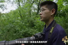 爱上“打鸟”，19岁大学生要做校园“鸟类观察家”图片