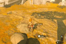 极致资源管理！盘点《王国之泪》没必要花钱买的物品图片