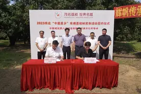 多方助“荔”，荔枝树定制活动第五场在茂名高州举行图片