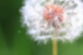 转需！小满节气如何养生图片