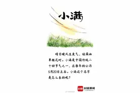 涨知识！小满的满是怎么来的？图片
