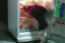 2023年可能成为有记录以来最热一年？沈阳未来几天气温将……图片