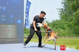 功勋犬“巴图”跟市民零距离接触啦！南京警方警犬基地举行警民开放日活动图片