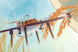 【大宏图·“县”在启航】甘肃成县：书写“三大区块”跃升篇章 擘画“景城融合”成州印象图片