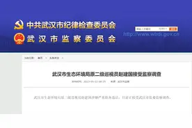 武汉市生态环境局原二级巡视员赵建国被查图片