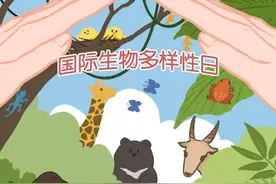追光丨国际生物多样性日·吉祥物中的国宝“连连看”图片
